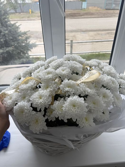 Продам свежие цветы — 15000тг.