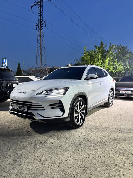 BYD chempion Gibrit 2026