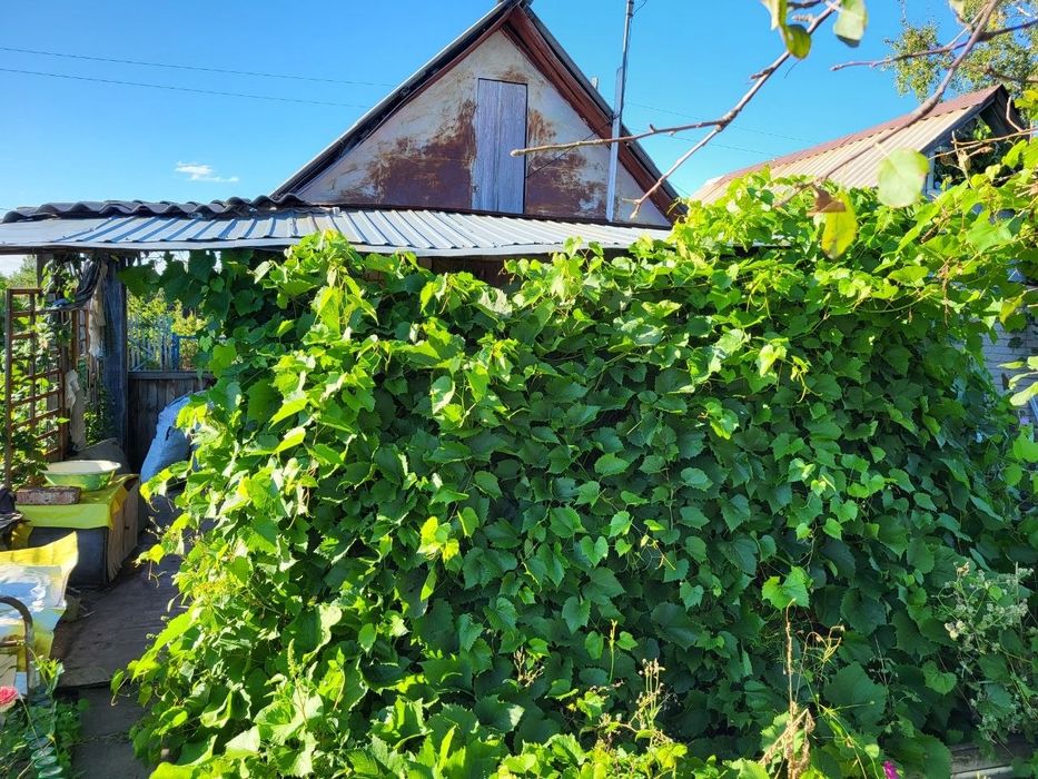 Продам дачу в СО Пригородное