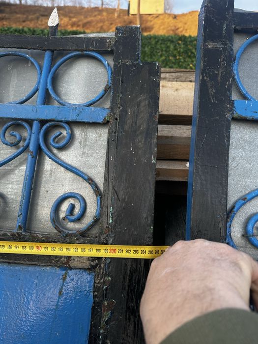 Porta acces auto si poarta pietonala