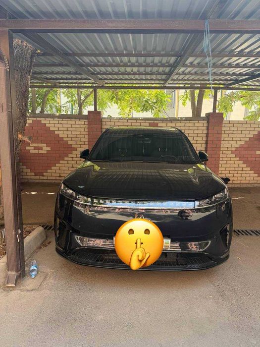 Dongfeng 008 gibrid