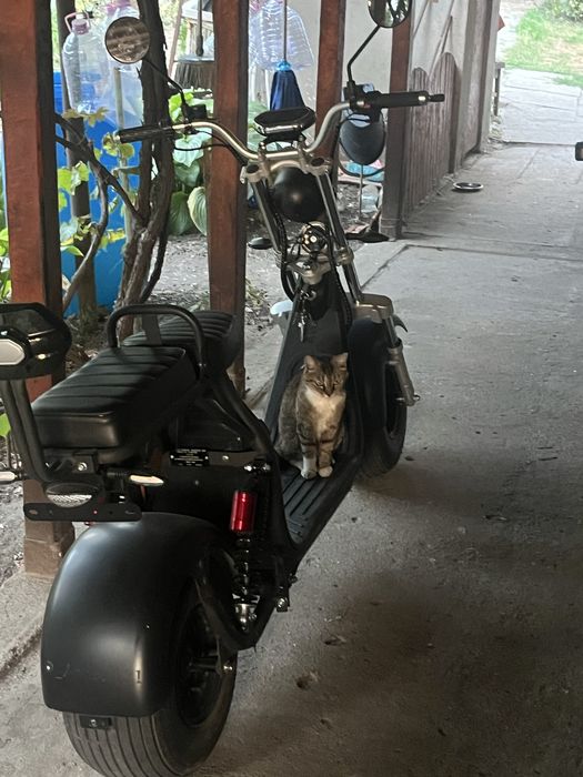 Scuter Electri(moped)