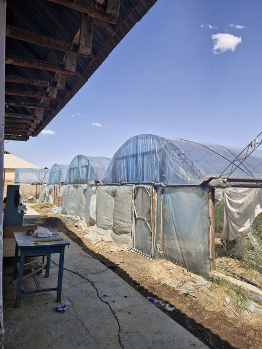 Теплица сатылады 12сот