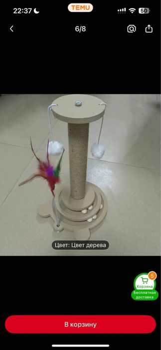 Когтеточка для котят