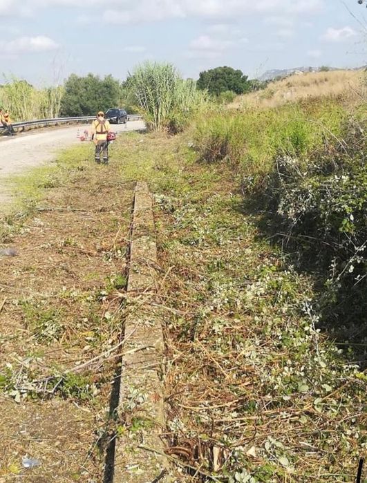 Curatare defrisare terenuri