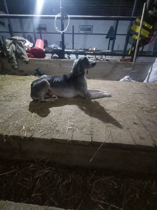 тазы сатылады.