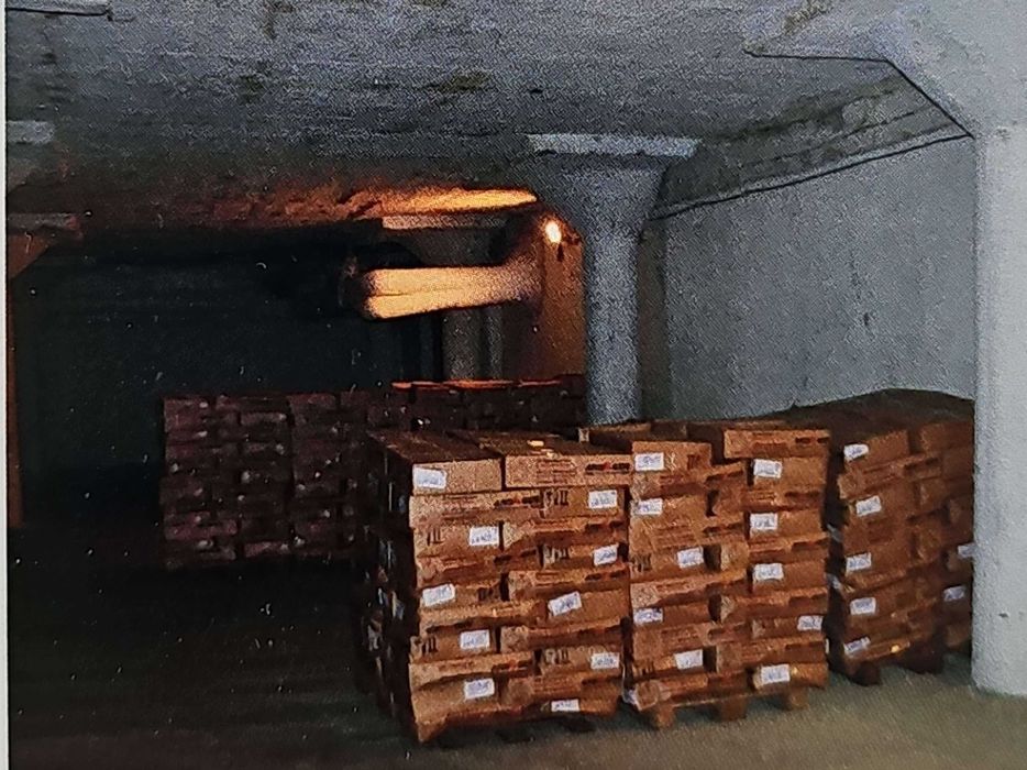 Сдаем в аренду холодильные склады