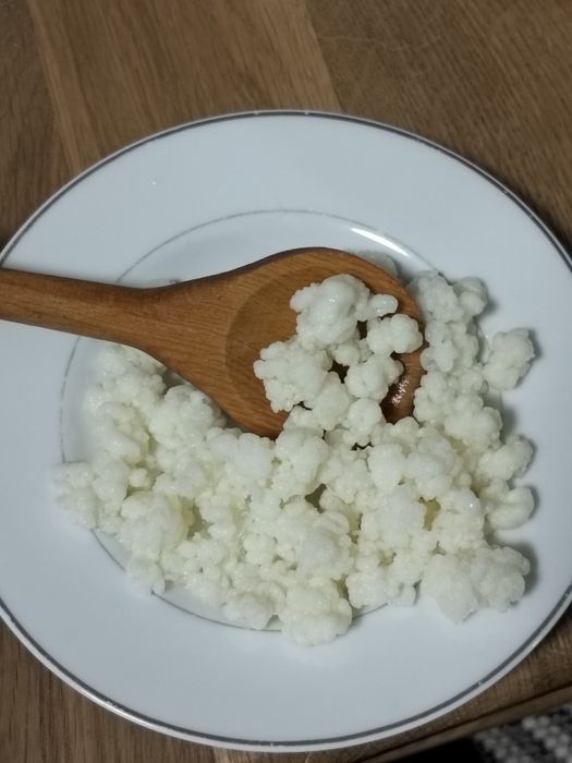 Vând doua  porții de ciuperca de kefir potrivită pentru 1,5 l lapte