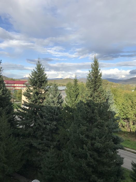 Продам однокомнатную квартиру. Торг