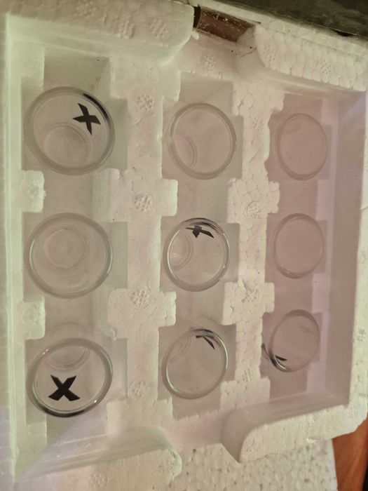 Шот чашки за Морски Шах