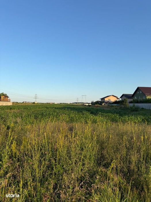 Teren de 500 mp , strada ortansei Clinceni