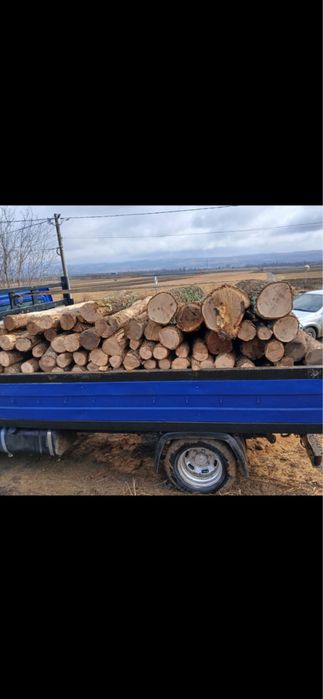 Vand lemne de stejar uscate !!