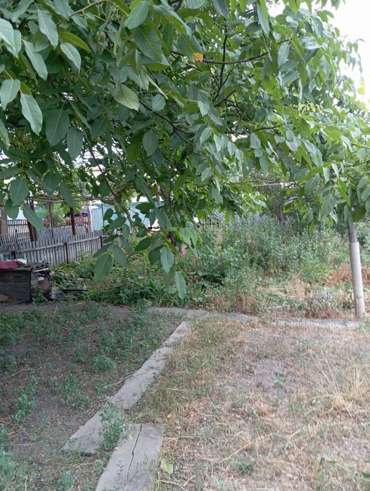 Продам дом, поселок Ынтумак