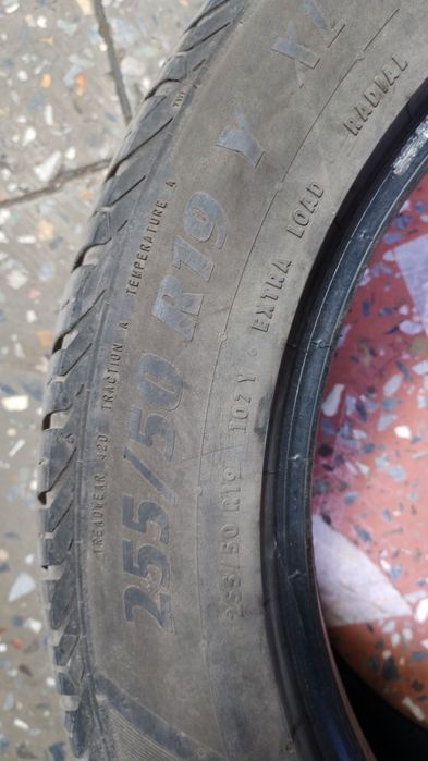 Продам шины 19,матадор