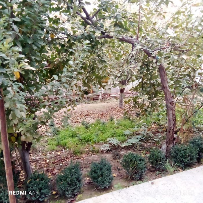 Участка 4.77 сотих .