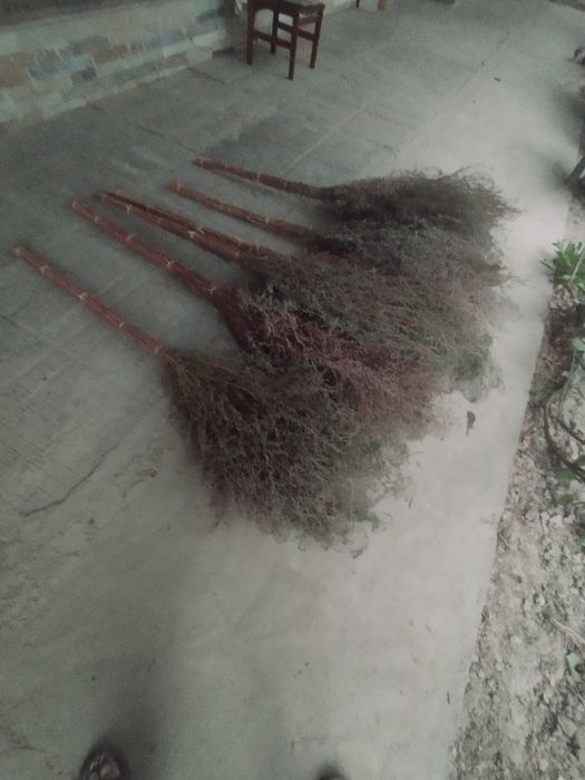 Веник сорго уличные.