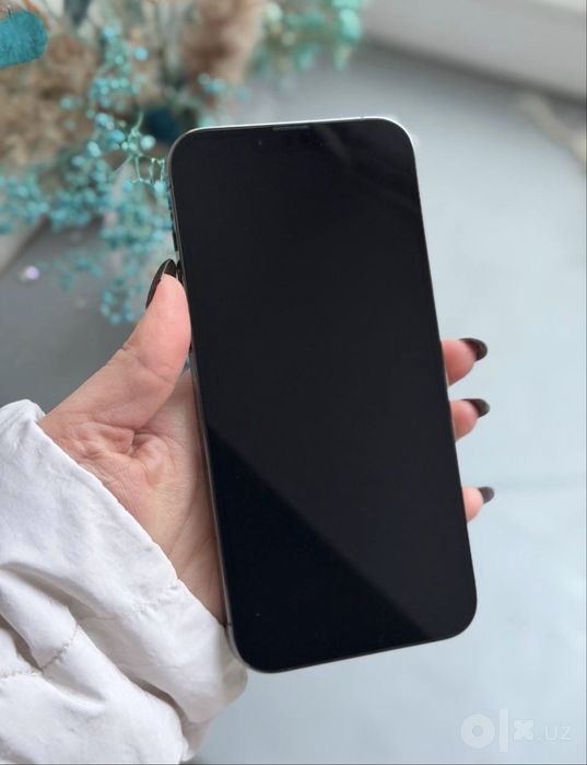 iPhone 13 ProMax 128Gb Graphic 100% Radnoy