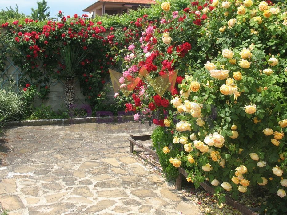 Продава се Къща в с. Близнаци, Област Варна - 680 кв.м за 572 €/кв.м - Снимка #8