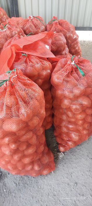 Картошка сорт Гала