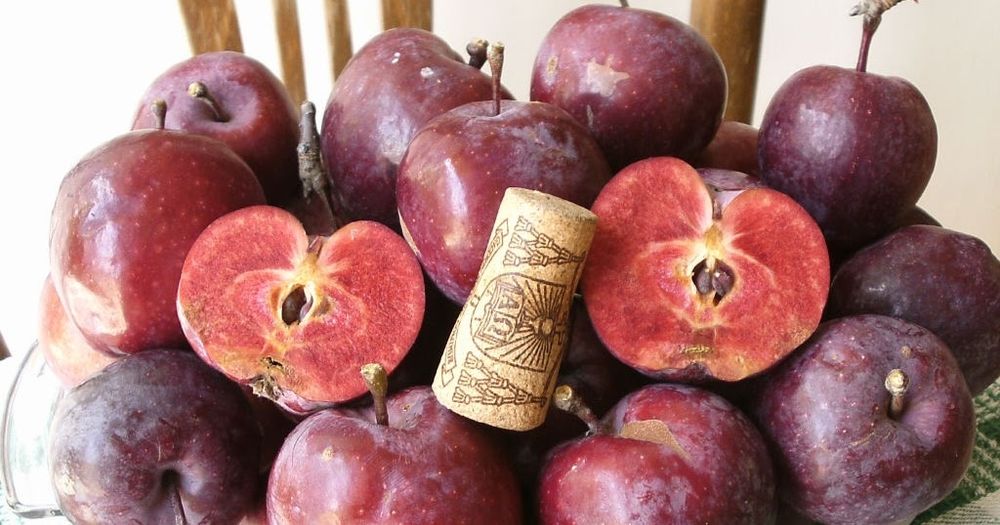 Mar (Soiul Sfecla Roșie)