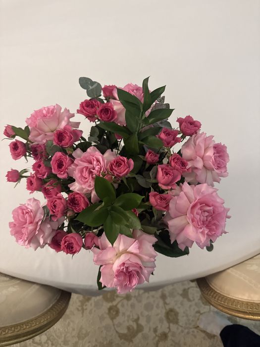 Продаю цветы срочно