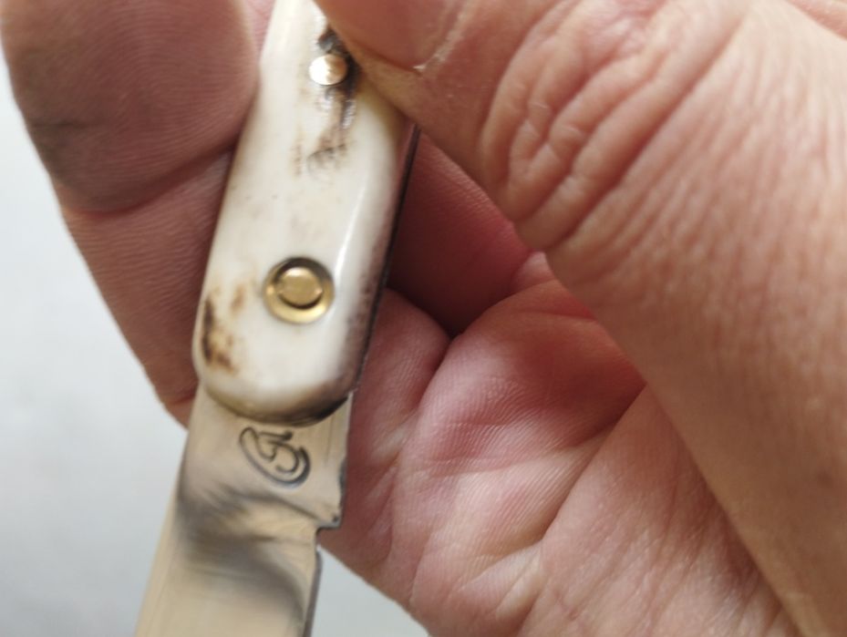 Дегустатурска ножка