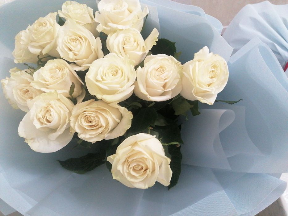 Гүл сатам, продам цветы