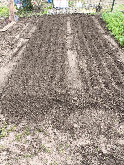 Amenajări peisagistice, gazon, pregătire teren