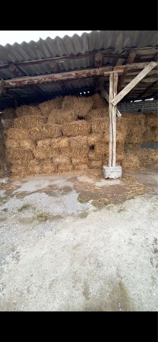 Ут пресс сотилади Кувасойда