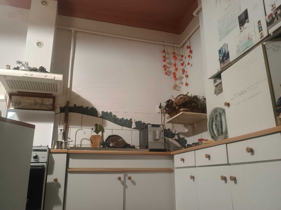De inchiriat casa particular.