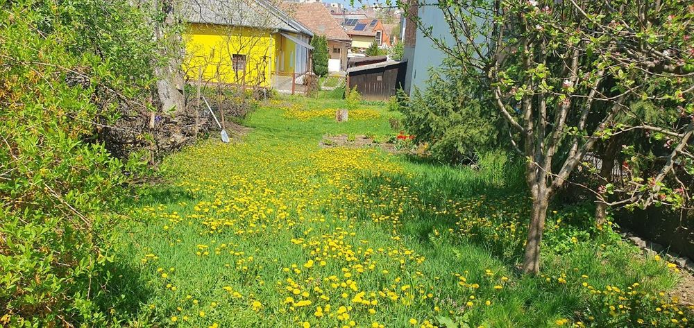 Inchiriez ap 2 camere, la casa  in zona semi-centrala