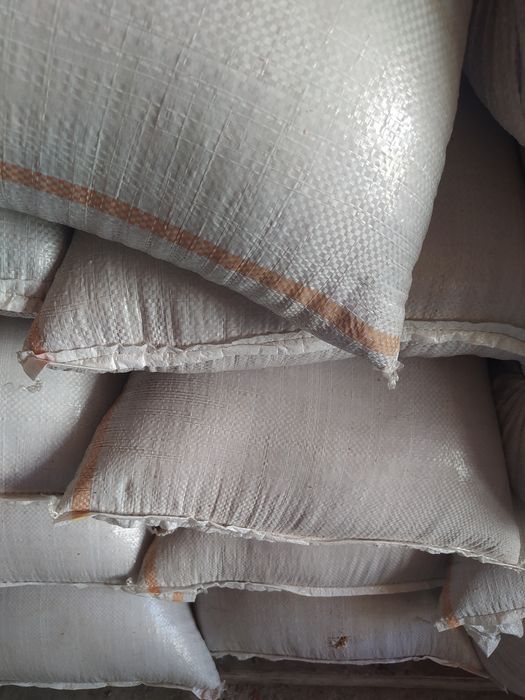 Samanta triticale