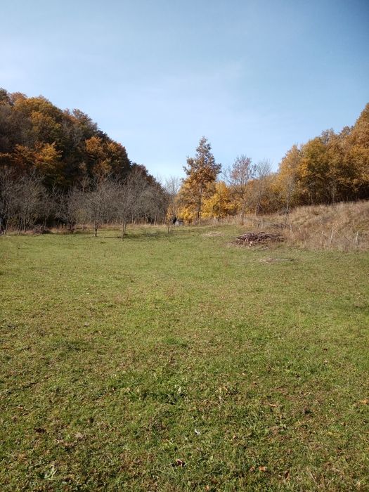 Casă cu teren în comuna Zam, sat Godinești