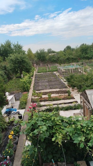 Продам дачу с бизнесом.