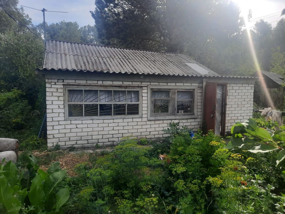 Сдам в аренду дачу