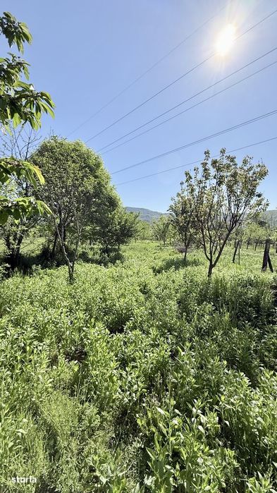 Casă Cu Teren 1.668 Mp | Bujoreni