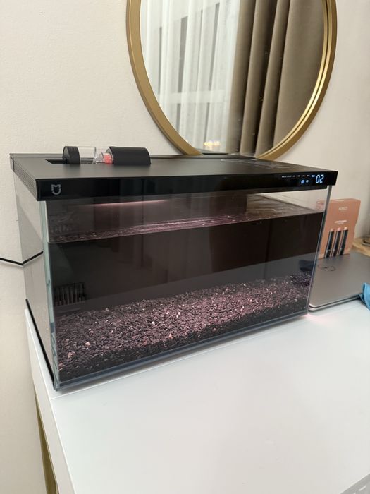 Аквариум Ксиоми