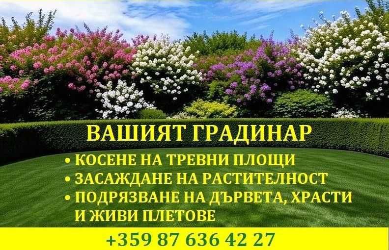 Професионален градинар с 25 години опит – вашата градина в перфектен вид целогодишно!
