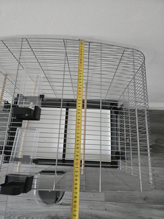 Cusca papagali spatioasa