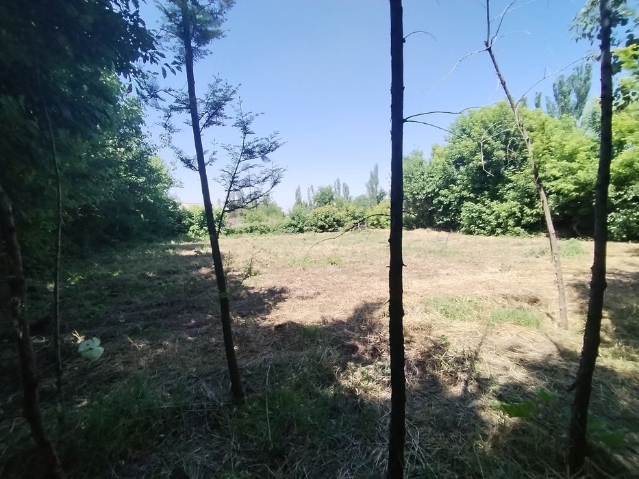 Пустой иер сотилади