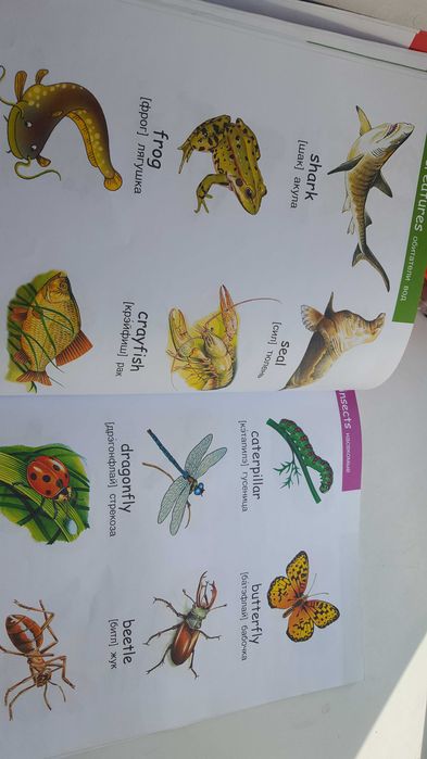 Английский для малышей