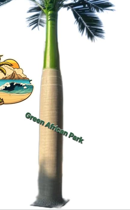 Palma daraht tanasi стол искусственный пальмовые деревья