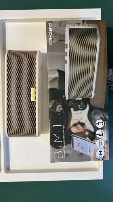 Amplificator Chitara Electrica & Boxa Bluetooth Roland BTM-1 LTD