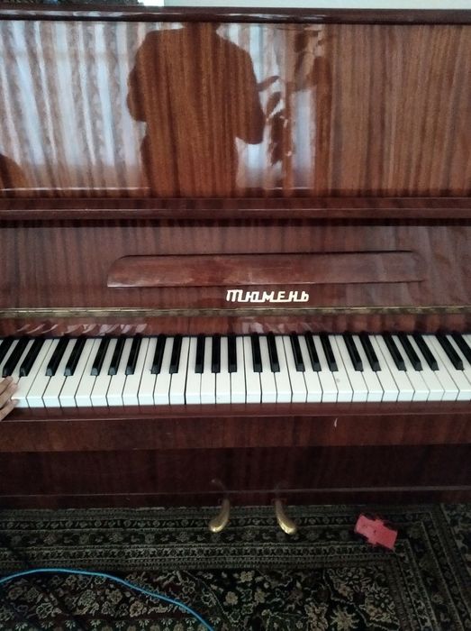 pianino tyumen. rasisskiy