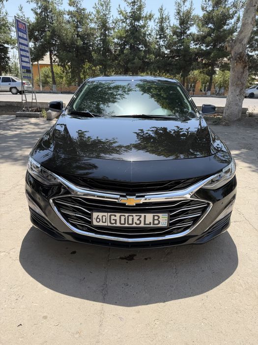 Malibu primer yili  2022