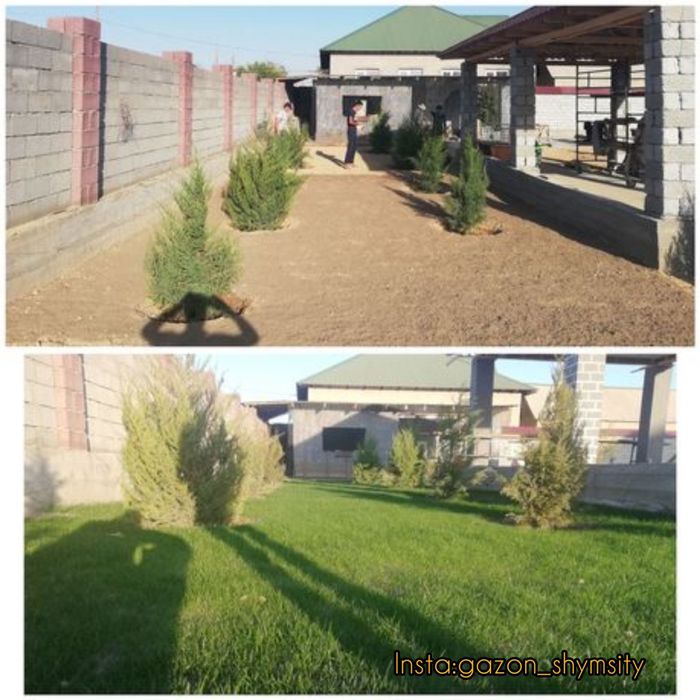 Газон Авто полив