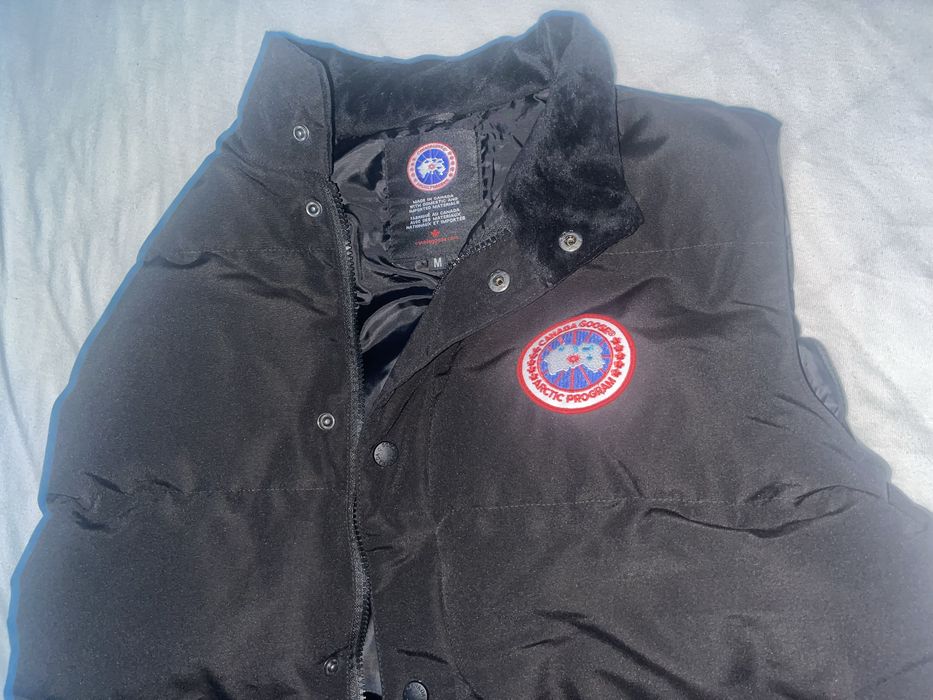 Vesta canada goose