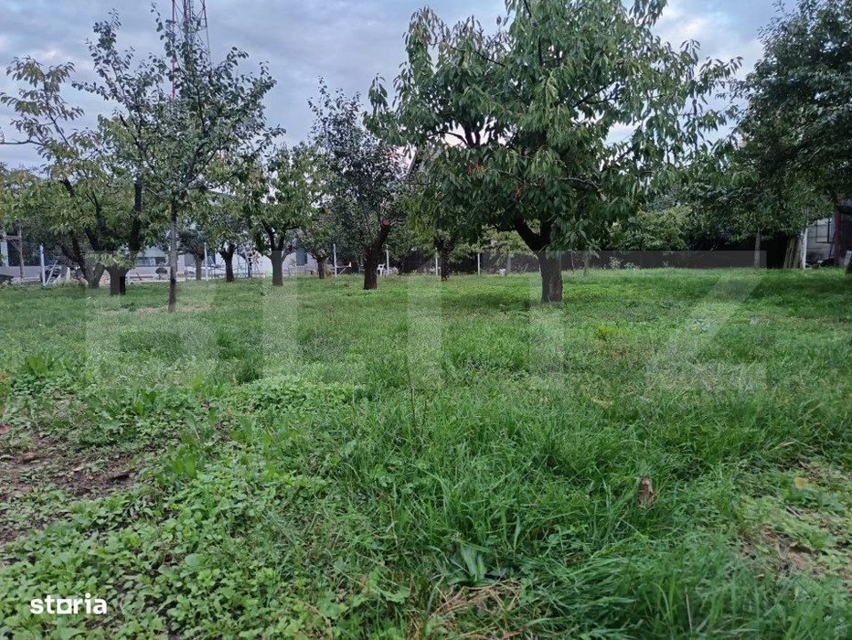 Teren Intravilan Centru Paulesti, parcelabil ,potential enorm pentru I