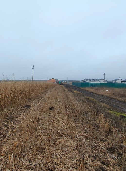 Teren intravilan Holboca 1624mp