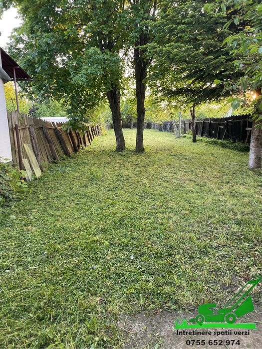 Defrisare vegetatie/iarba terenuri si livezi cu tocator profesional